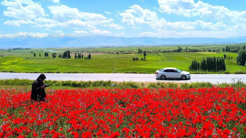 Muş’taki doğal olarak oluşan görsel şölen vatandaşların ilgi odağı haline geldi