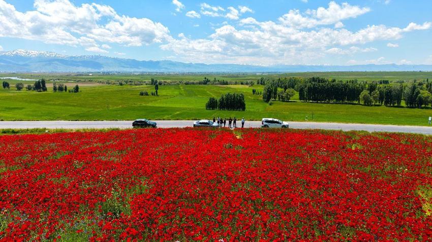 Muş’taki doğal olarak oluşan görsel şölen vatandaşların ilgi odağı haline geldi