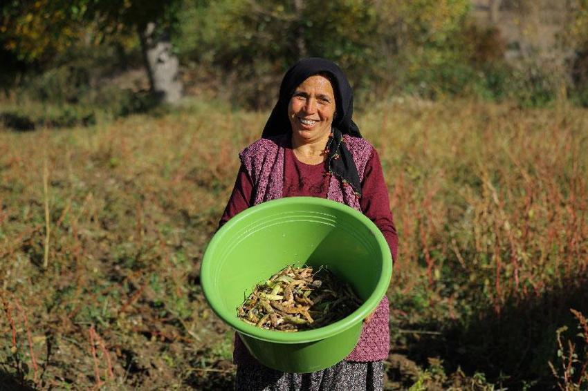 Samsun'da yeni tarım yatırımları hayata geçiyor! 14 bini aşkın üreticiye tarım desteği