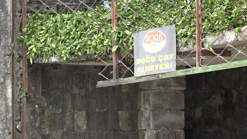 Çay taban fiyatının altına düştü, üreticilerden özel sektöre fiyat tepkisi geldi