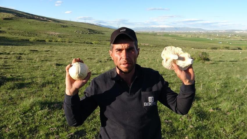Erzurum yaylalarına yağmurdan sonra da bereket yağdı! Vatandaşlar için geçim kapısı oldu