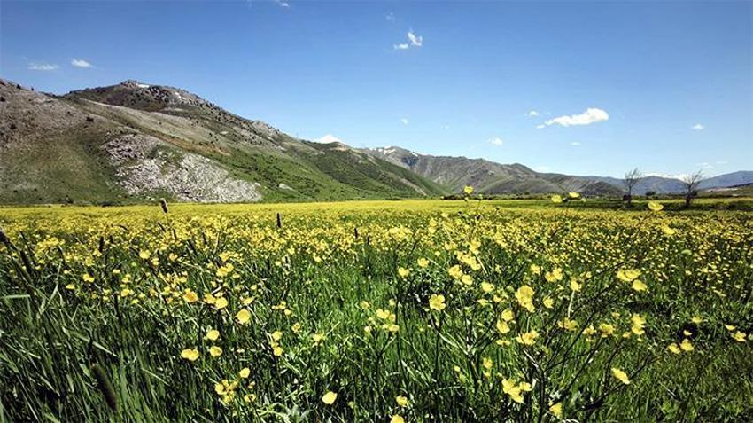 Doğaseverlerin yeni gözdesi! Bitlis’in saklı hazinesi Güzeldere Menderesleri’nde görsel şölen