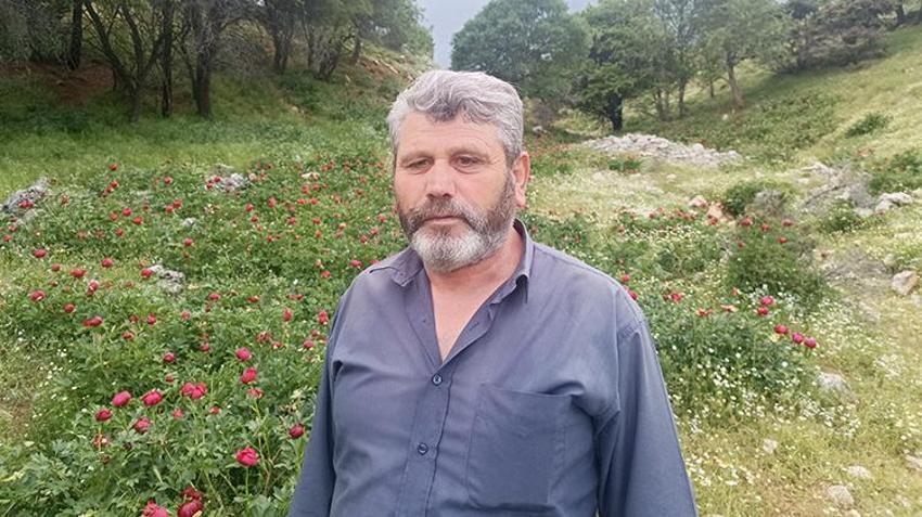 Afyonkarahisar’da koruma altındaki 'Ayı Gülü' açtı! Vadide fotokapanlı nöbet başladı: Koparana 699 bin TL ceza!