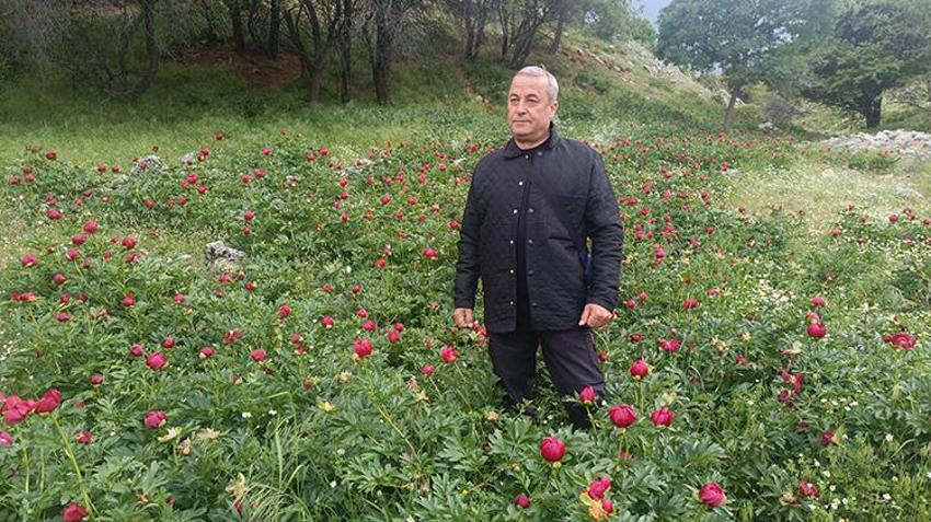 Afyonkarahisar’da koruma altındaki 'Ayı Gülü' açtı! Vadide fotokapanlı nöbet başladı: Koparana 699 bin TL ceza!