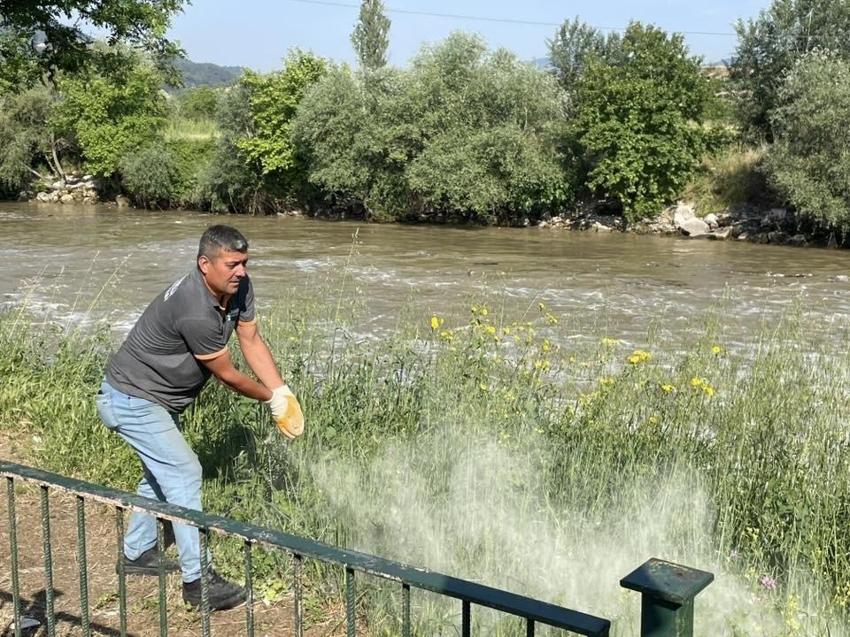 Bilecik'te mesire alanlarında alarm var! Belediye harekete geçti