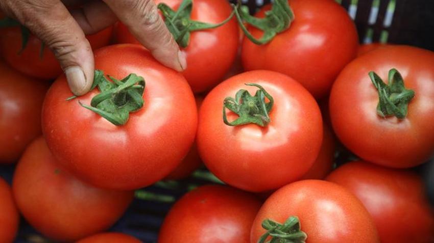 Tarlada 25, markette ise 150 lira! Fiyat farkı şaşkına çevirdi: Rusya ve Ukrayna kapış kapış alıyor!