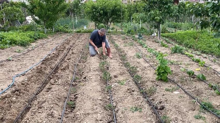 Hobi bahçelerini üretim üssüne çevirdiler! ‘Hem ülke ekonomisi hem de ailemiz için faydalı’