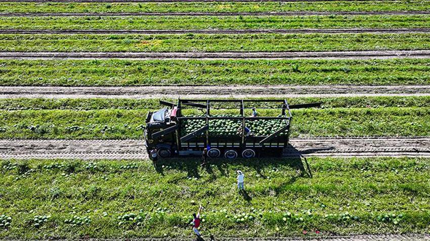 Adana'da fiyatı düştü, dünya sıraya girdi! Yurt içi ve dışından sipariş yağıyor
