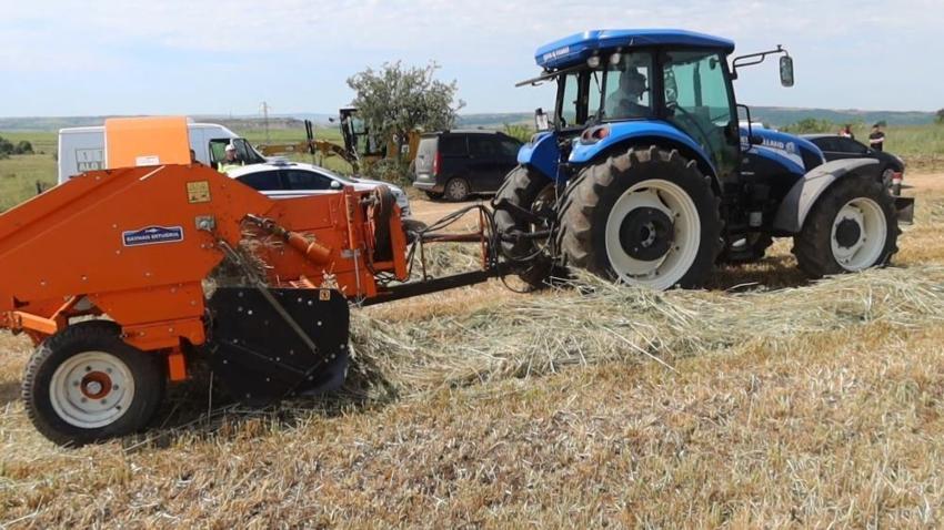 Hayvancılıkta yeni dönem! Yem maliyetleri düşecek: Edirne'deki proje Türkiye'ye örnek olacak