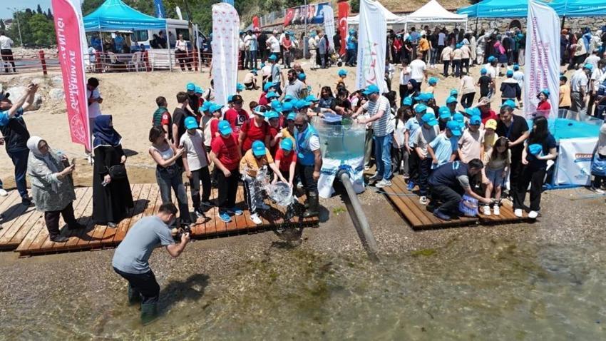 İzmit Körfezi'nde bu balık ilk kez görüldü: Binlercesi bırakıldı