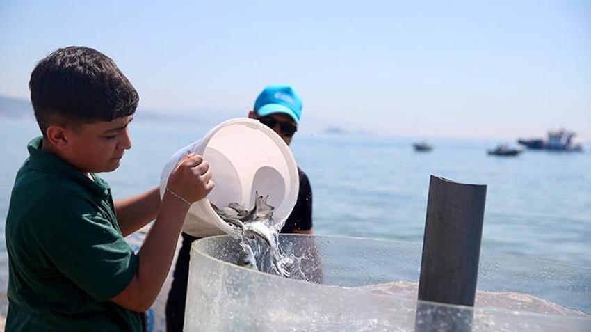 Kocaeli'de su altında kuruluyor! Dalgıçlar ve vinçler devreye girdi