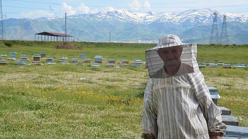Muş Ovası’nda 'tatlı' sezon başladı! Türkiye’nin gezgin arıcıları akın ediyor: Bu yıl 650 ton bal üretimi bekleniyor