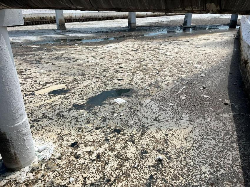 İzmir’de kirlilik ve koku isyan ettirdi: 5 dakika maskesiz durmak imkansız!