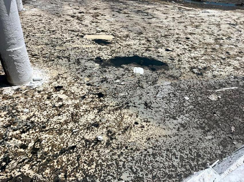 İzmir’de kirlilik ve koku isyan ettirdi: 5 dakika maskesiz durmak imkansız!
