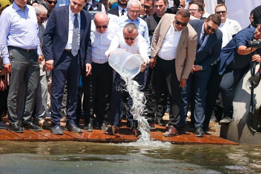 Kocaeli'de proje hayata geçti! İzmit Körfezi'ne 6 bin yeni misafir