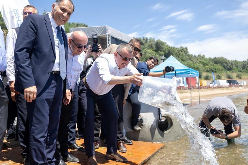 Kocaeli'de proje hayata geçti! İzmit Körfezi'ne 6 bin yeni misafir
