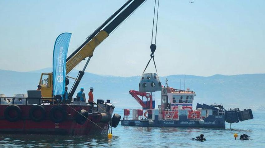 Kocaeli'de proje hayata geçti! İzmit Körfezi'ne 6 bin yeni misafir