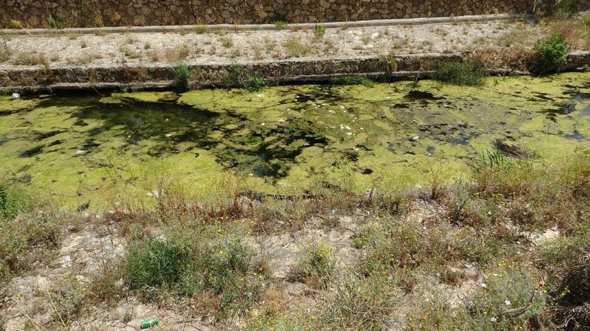 Konyaaltı Plajı için tehlike çanları çalıyor! Antalya Körfezi’nde görüş azaldı, İstanbul Boğazı turkuaz renge dönüştü: Prof. Dr. Gökoğlu nedenini açıkladı