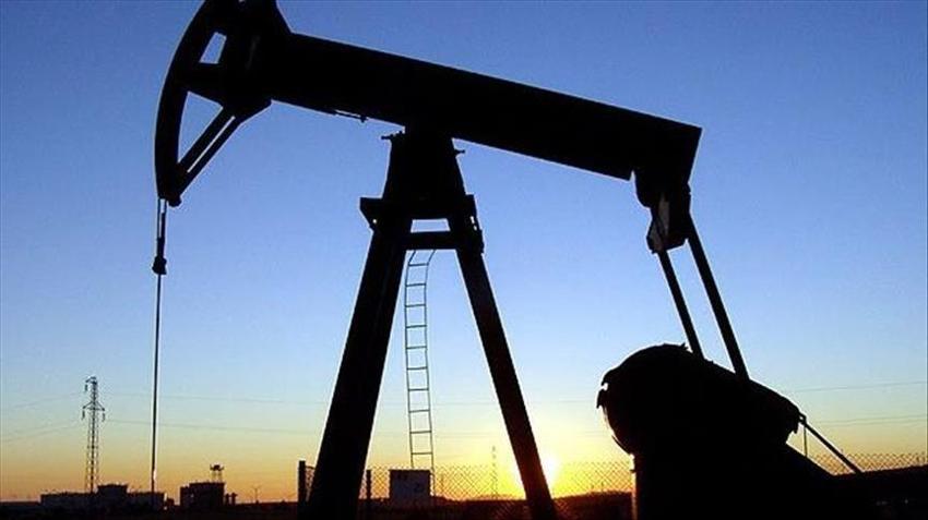 Diyarbakır'a petrol müjdesi! Okul bahçesinde tonlarca keşfettiler, milyonlar cebe girecek