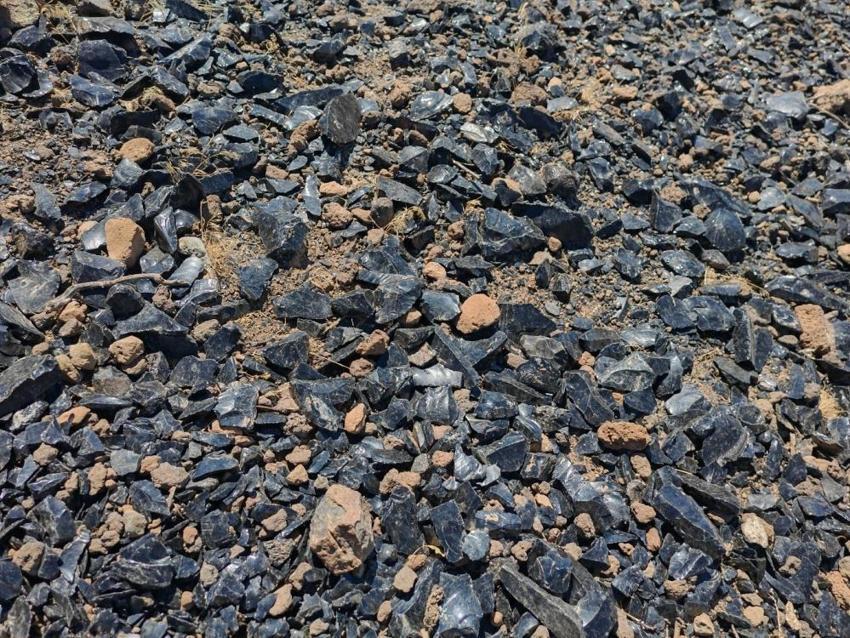 Bitlis'in köyünde ilk kez keşfedildi! Kıbrıs'a kadar uzanıyor, 2.300 tane bulundu