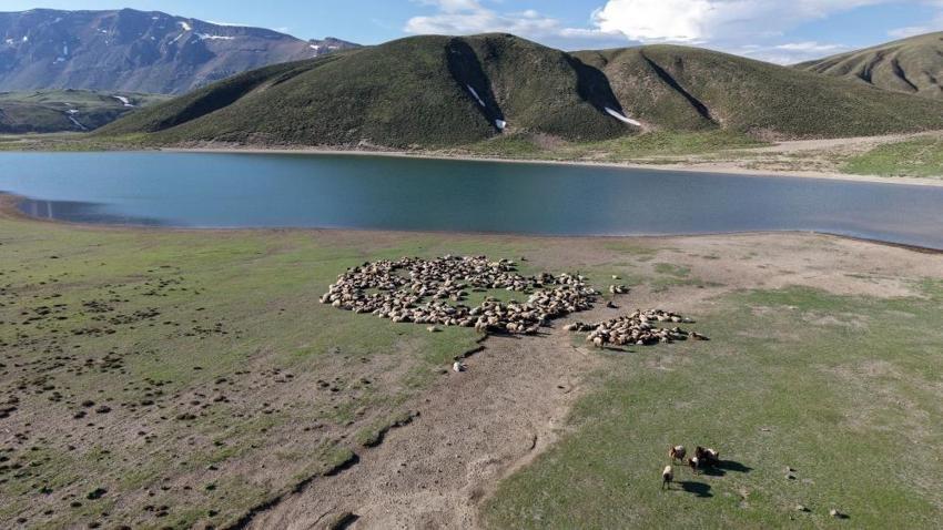 Bitlis'te 5 ay sürecek yolculuk başladı: Binlercesi aynı anda hareket ediyor