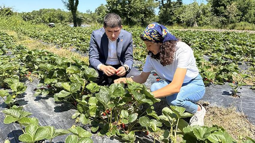 Samsunlu genç kadın bankacılığı bıraktı, köyüne dönüp üretime başladı! Şimdi siparişlere yetişemiyor