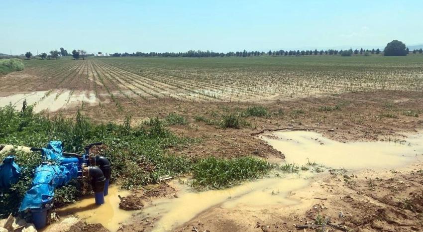 Bursa'da aniden bastıran yağış felakete dönüştü: Binlerce dönüm ekili alan sular altında kaldı