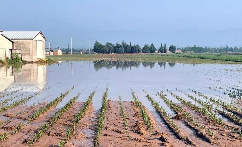 Bursa'da aniden bastıran yağış felakete dönüştü: Binlerce dönüm ekili alan sular altında kaldı