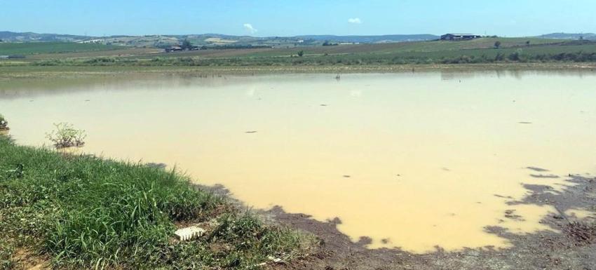 Bursa'da aniden bastıran yağış felakete dönüştü: Binlerce dönüm ekili alan sular altında kaldı