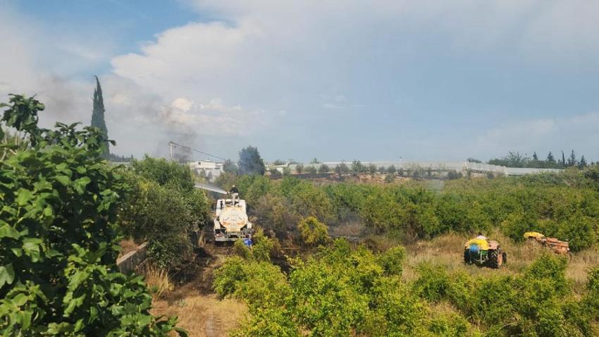 Aksu'da sera ve evleri tehdit eden yangın mahalleliyi korkuttu