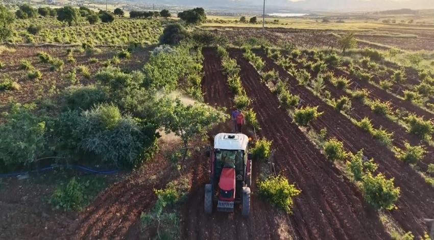 Gercüş'ün tarlalarında bahar mesaisi: Şafak vaktiyle çiftçiler tarlalara akın ediyor