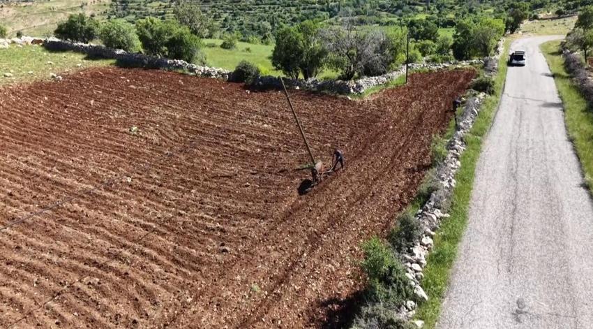 Gercüş'ün tarlalarında bahar mesaisi: Şafak vaktiyle çiftçiler tarlalara akın ediyor