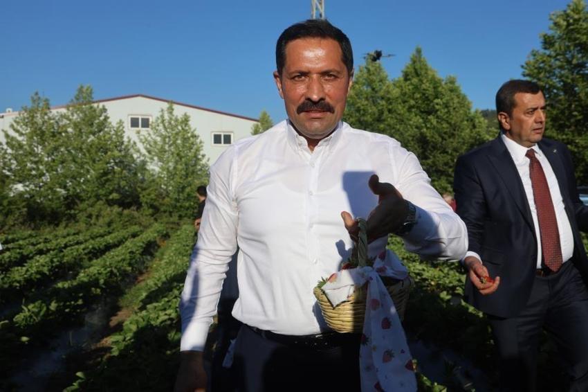 Hatay 10 bin 900 ton rekolteyle rekor kıracak!