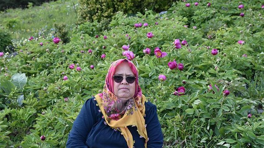Koklaması bedava, koparması 700 bin lira! Sakarya’da koruma altına alındı