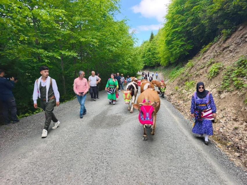Trabzon'da geleneksel göç başladı! Yaylalar yeniden canlanıyor