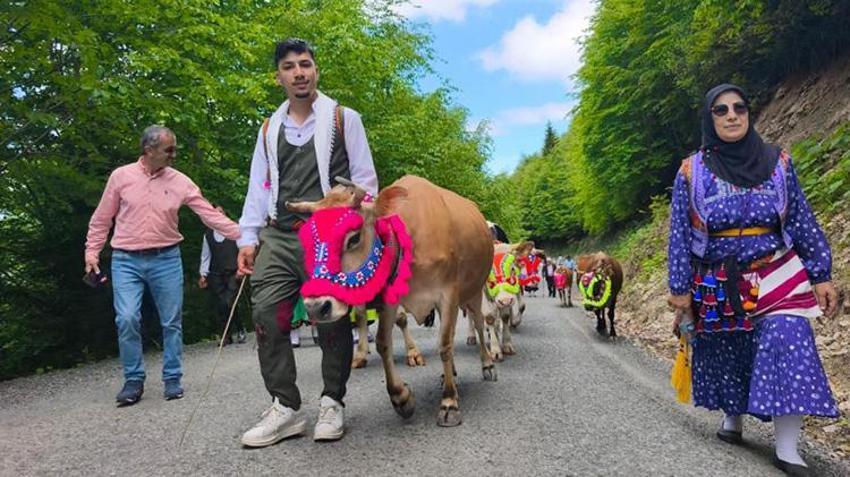 Trabzon'da geleneksel göç başladı! Yaylalar yeniden canlanıyor