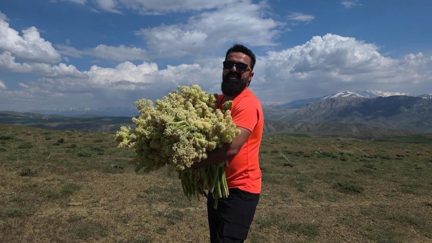 Van'da tezgahlara inmeden dağda kapışılıyor! Çuvalı kapan akın etti