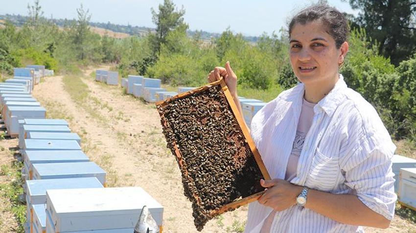 Adanalı kadın girişimci devlet desteğiyle arıcılığa başladı! Arı ölümlerini bitiren yöntemi denedi, bal üretimini uçuşa geçirdi