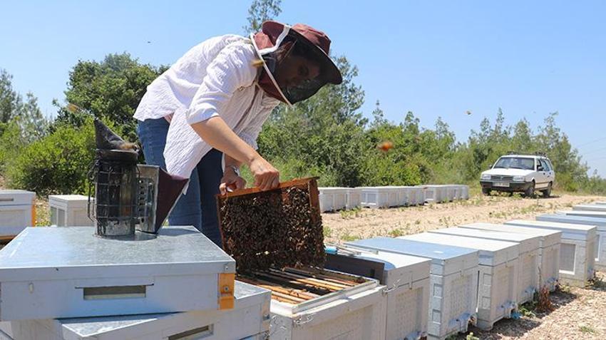 Adanalı kadın girişimci devlet desteğiyle arıcılığa başladı! Arı ölümlerini bitiren yöntemi denedi, bal üretimini uçuşa geçirdi