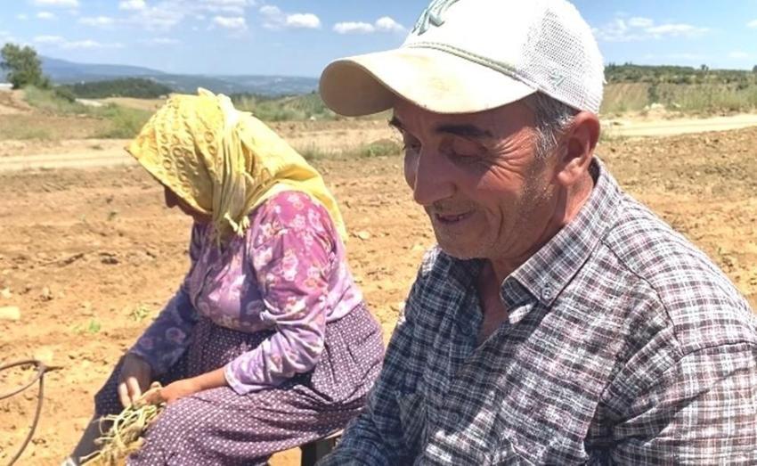 Manisa'da tütün sezonunda değişmedi: Kavurucu sıcaklarda ekmek mesaisi başladı