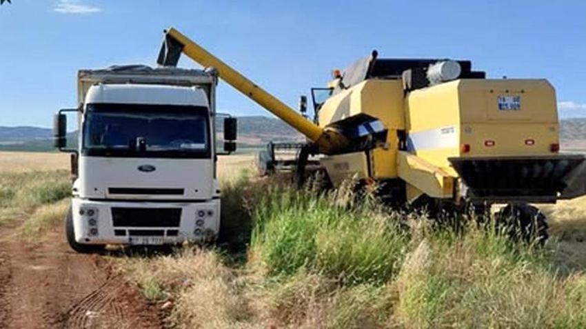 Gaziantep'te ilk hasat başladı! Kilosu 12,50 TL'den satıldı