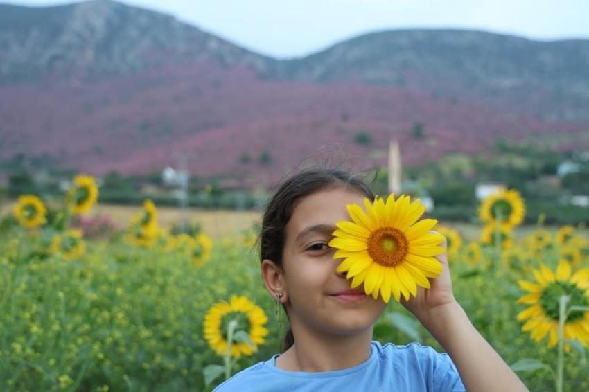 Adana mora, Kozan pembeye döndü: Doğanın renkleri bölgeyi sardı