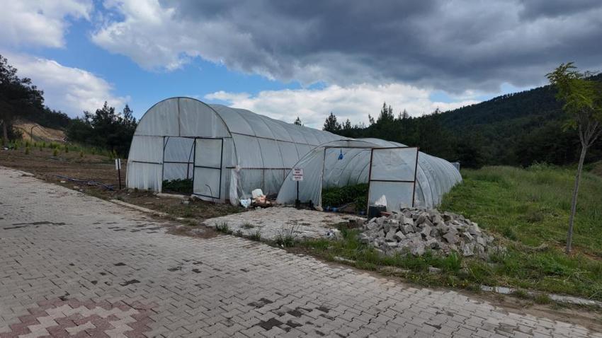 Kütahya'ya gidenler bu lezzetin peşine düşüyor: Şefler sabah seradan toplayıp öğlen fırına atıyor! Ilıca Termal Tatil Köycü'nde 'tarladan sofraya' dönemi