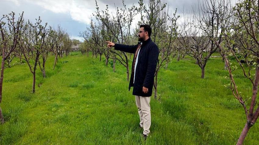 İstanbul’daki diş hekimi memleketine yatırım yaptı! 2 bin fidanla başladı, şimdi tüm köy onu konuşuyor