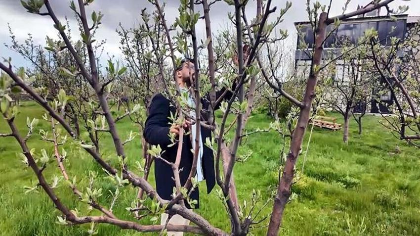 İstanbul’daki diş hekimi memleketine yatırım yaptı! 2 bin fidanla başladı, şimdi tüm köy onu konuşuyor