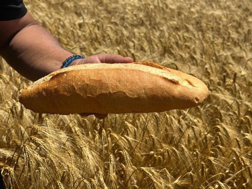 Ekmek 20 TL, kazandığı 5 lira: Bursalı çiftçilerden fırıncılara tepki!