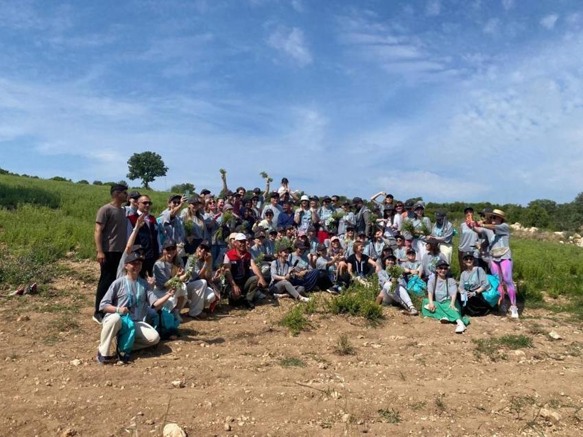 Ruslar o ürün için Denizli'ye akın etti! Tarlalara girip hasat yaptılar