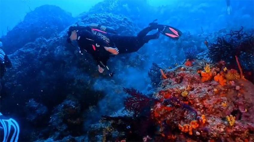 Ayvalık’ta dalış turizmine bakanlık onayı: Stratejik noktalar sportif dalışa açıldı