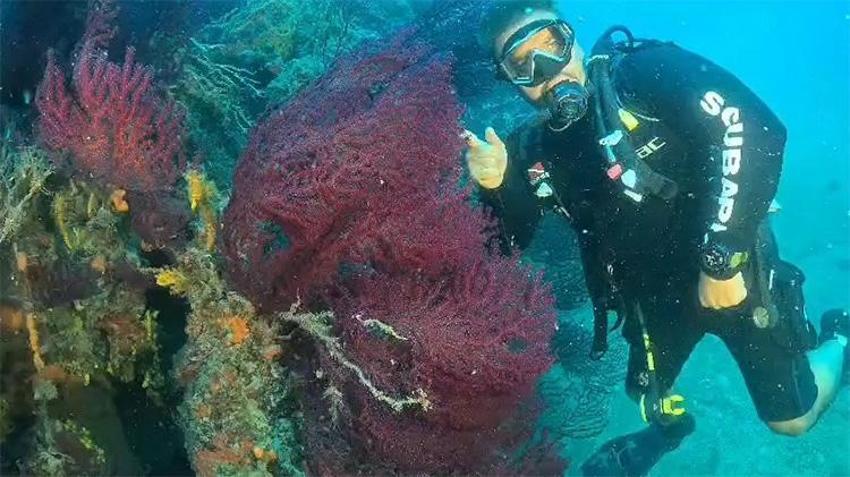 Ayvalık’ta dalış turizmine bakanlık onayı: Stratejik noktalar sportif dalışa açıldı
