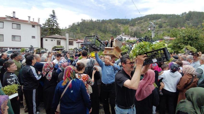 Bedava dağıtıldığını duyan oraya akın etti! Kamyonlarla getirildi, dakikalar içinde tükendi